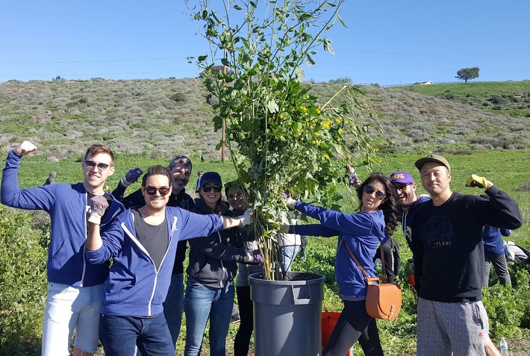 Native Plant Nursery Outdoor Volunteer Day with the Palos Verdes Peninsula Land Conservancy 1